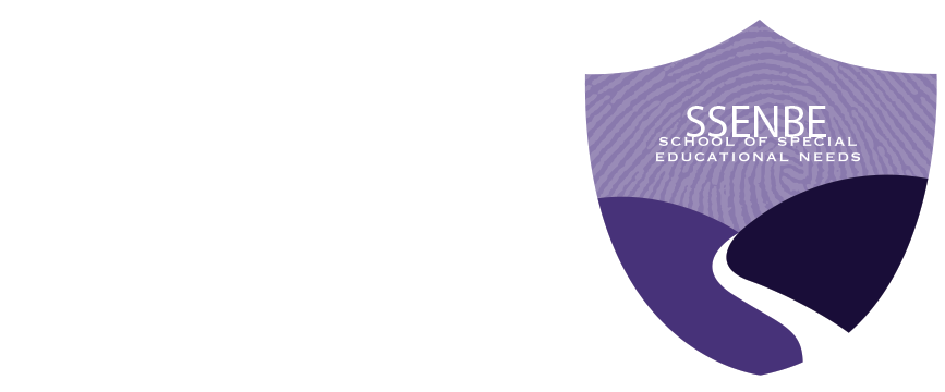 School of Special Educational Needs: Behaviour & Engagement